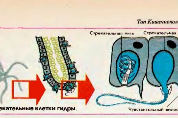 Что такое кракен маркетплейс в россии