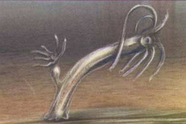 Кракен даркет