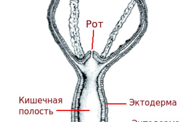 Кракен наркотики россия