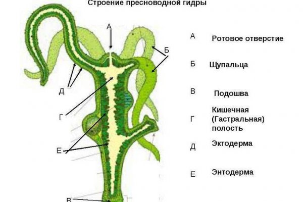 Кракен даркнет рабочая