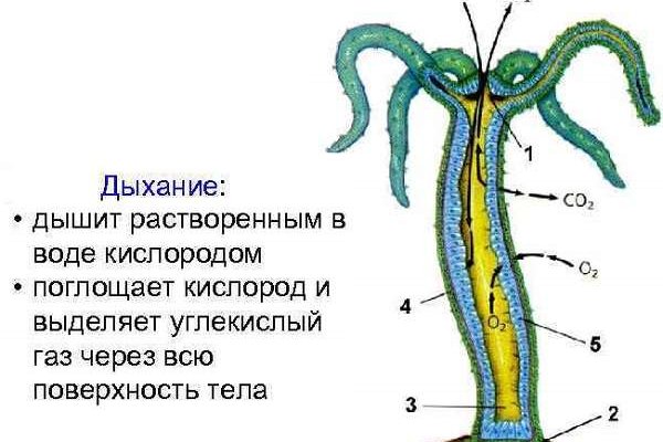 Кракен это наркота