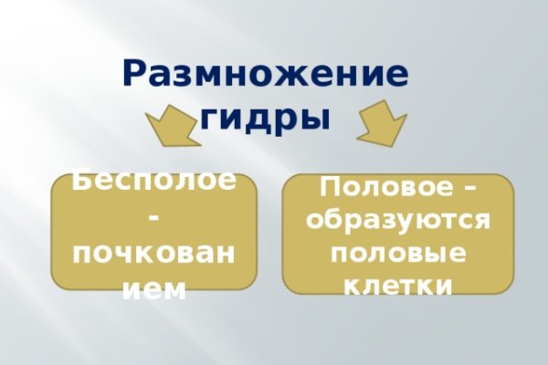 Kraken сайт магазин