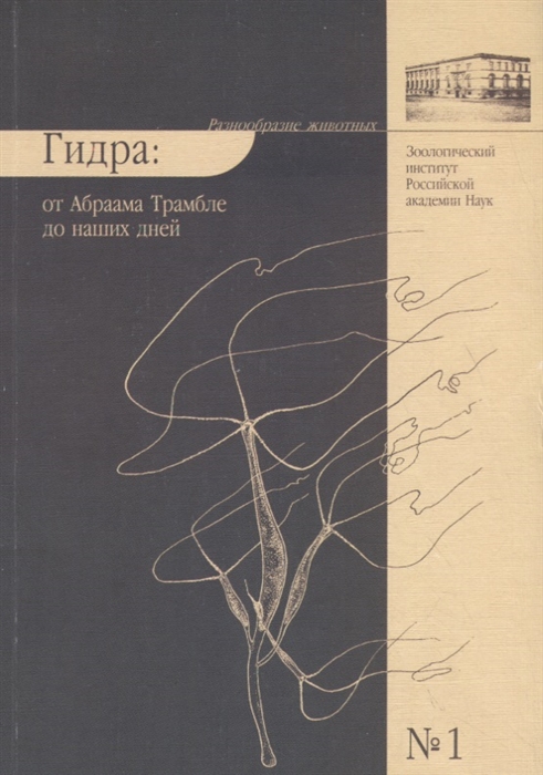 Магазины с наркотиками